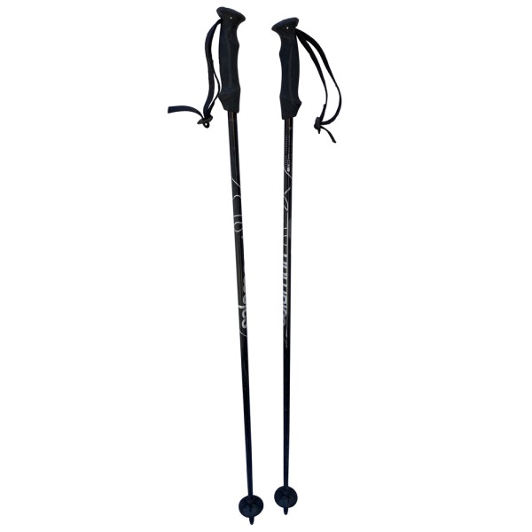 Bâtons de Ski Salomon Carbon Black