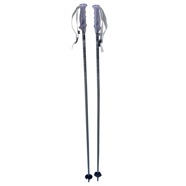 Völkl Phantastick Ski Poles
