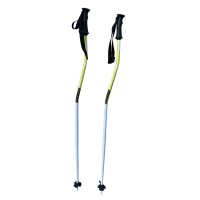 Fischer Worldcup GS Ski Poles FISCHER - 1