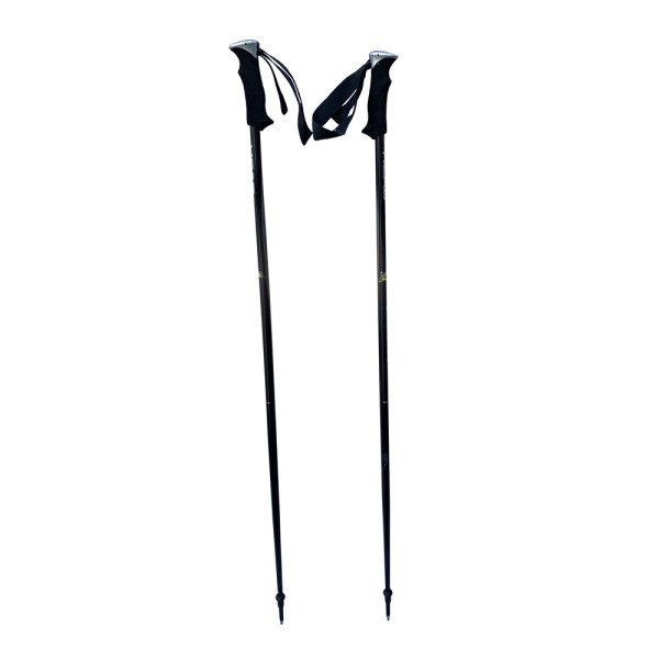 Head Supershape VIP Ski Poles HEAD - 2