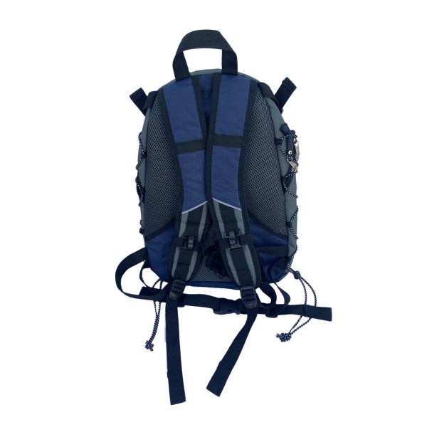 Backpack Torrent 25L Gray /...
