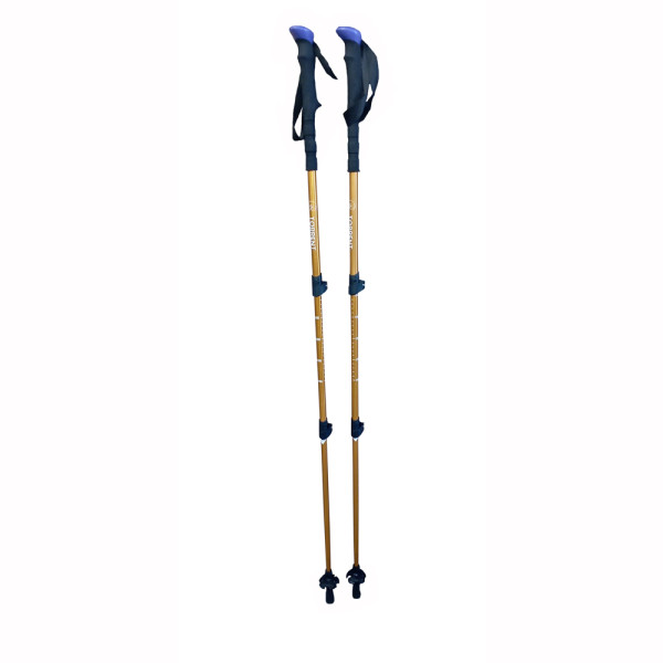 Bastoncini da trekking Torrent Pic SUMMIT POLES - 1