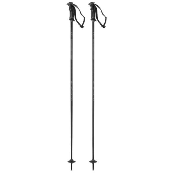 Salomon Arctic Lady Ski Poles