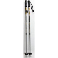 Ski poles Rossignol Junior Gold