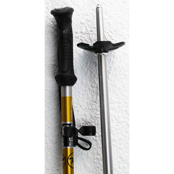 Ski poles Rossignol Junior Gold