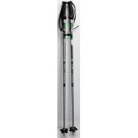 Bâtons de Ski Rossignol Junior Vert