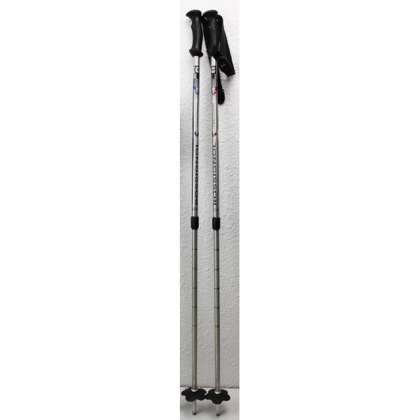 Bâtons de Ski Precision Réglables Rossignol Argent