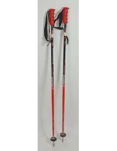 Rossignol Worldcup FIS Ski Poles