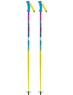 Bâtons De Ski Rossignol Jib Pro