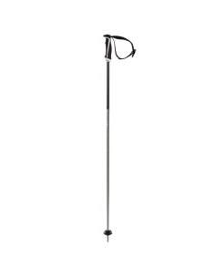 Bâtons de Ski Völkl Phantastick