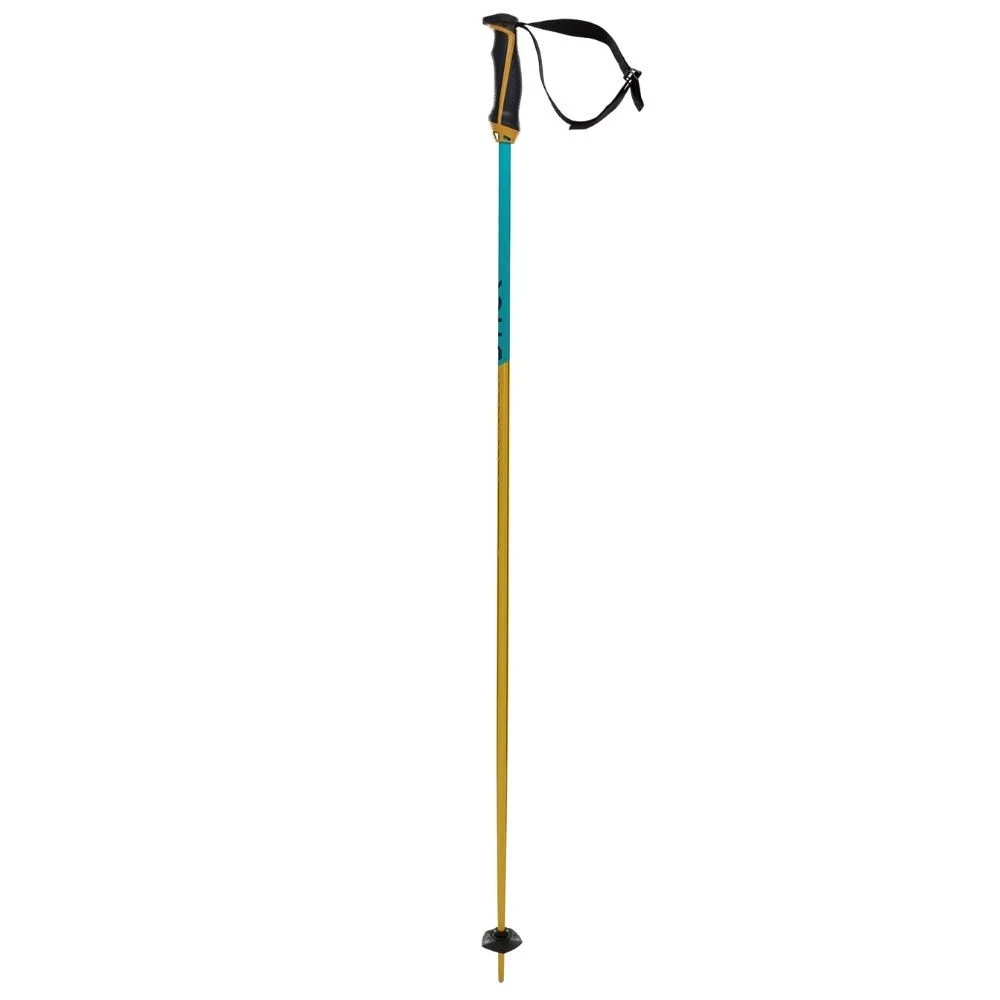 Bâtons de Ski Völkl Phantastick