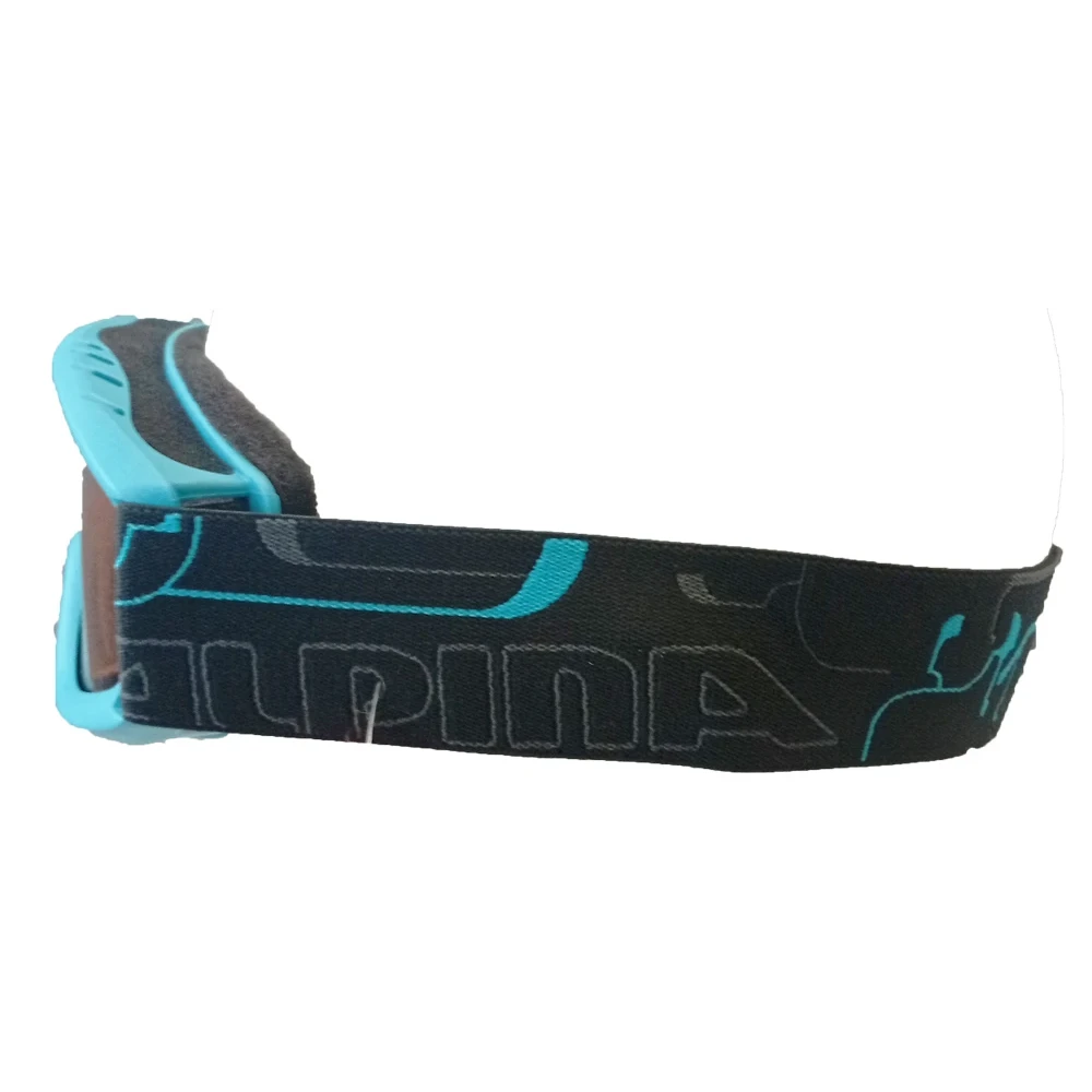 Masque De Ski Alpina Carat D