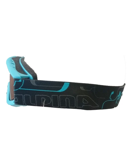 Alpina Carat D Ski Goggles
