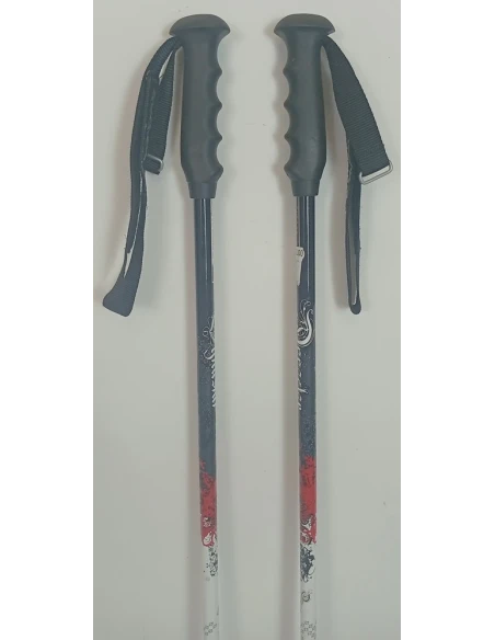 Dynastar Ski Poles Trouble
