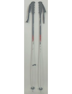 Bâtons De Ski Dynastar Trouble