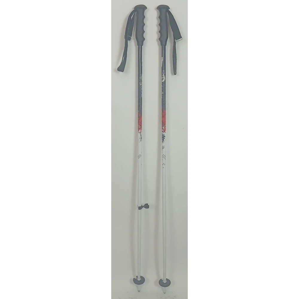 Dynastar Skistockprobleme