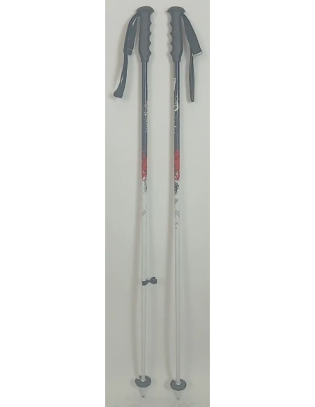 Bâtons De Ski Dynastar Trouble
