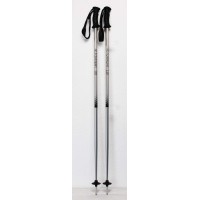 Bâtons de Ski Torrent Alu Argent / Noir 110