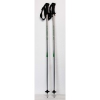 Ski poles Torrent Alu-Silver / Green 105