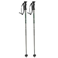Bâtons de Ski Junior Ski Republic 105 cm Vert
