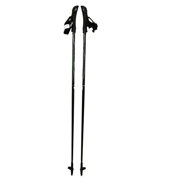 Guidetti Vent des Fjords Carbon Ultra Tech 60 bastoncini da nordic walking