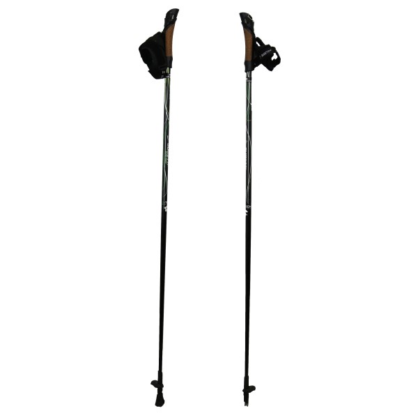 Guidetti Vent des Fjords Carbon Ultra Tech 60 bastoncini da nordic walking GUIDETTI - 6